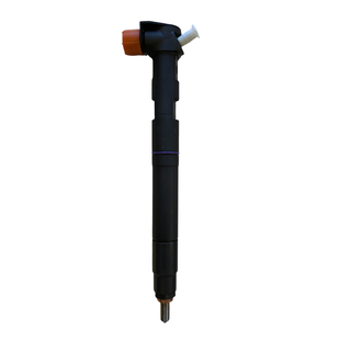 DELPHI Einspritzdüse Injektor HRD353 Neu