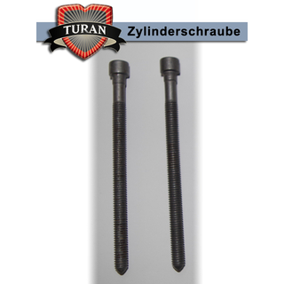 Dehnschrauben (2x) 03G103385A Zylinderschrauben fr Pumpe-Dse-Einheit