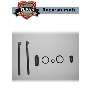 Reparatursatz (1x) 03G198051D und Dehnschrauben (2x) 03G103385A fr Pumpe-Dse-Einheit Original Volkswagen