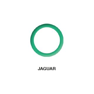 TORALIN O-Ring Jaguar 11.10 x 1.60 (5-teilig)