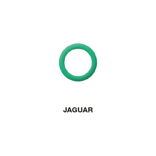 TORALIN O-Ring Jaguar 8.10 x 1.60 (5-teilig)