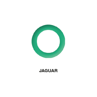 TORALIN O-Ring Jaguar 13.10 x 1.60 (5-teilig)